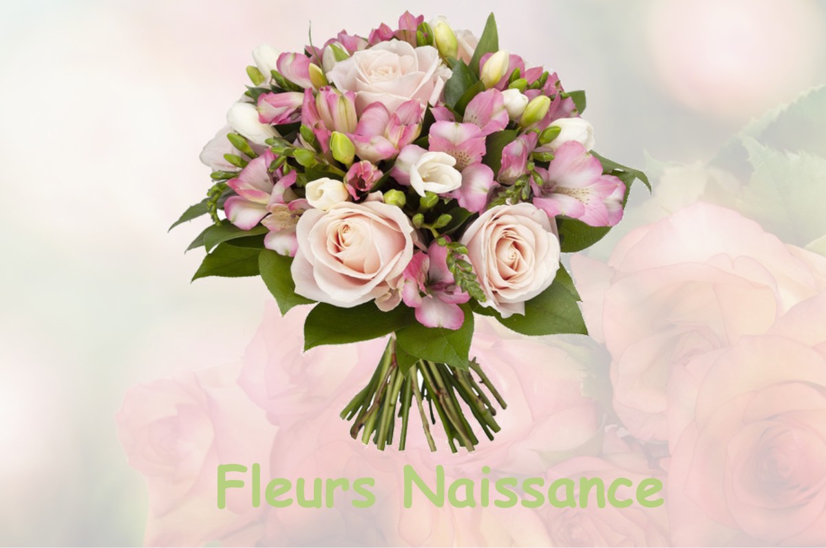 fleurs naissance MEYRIE