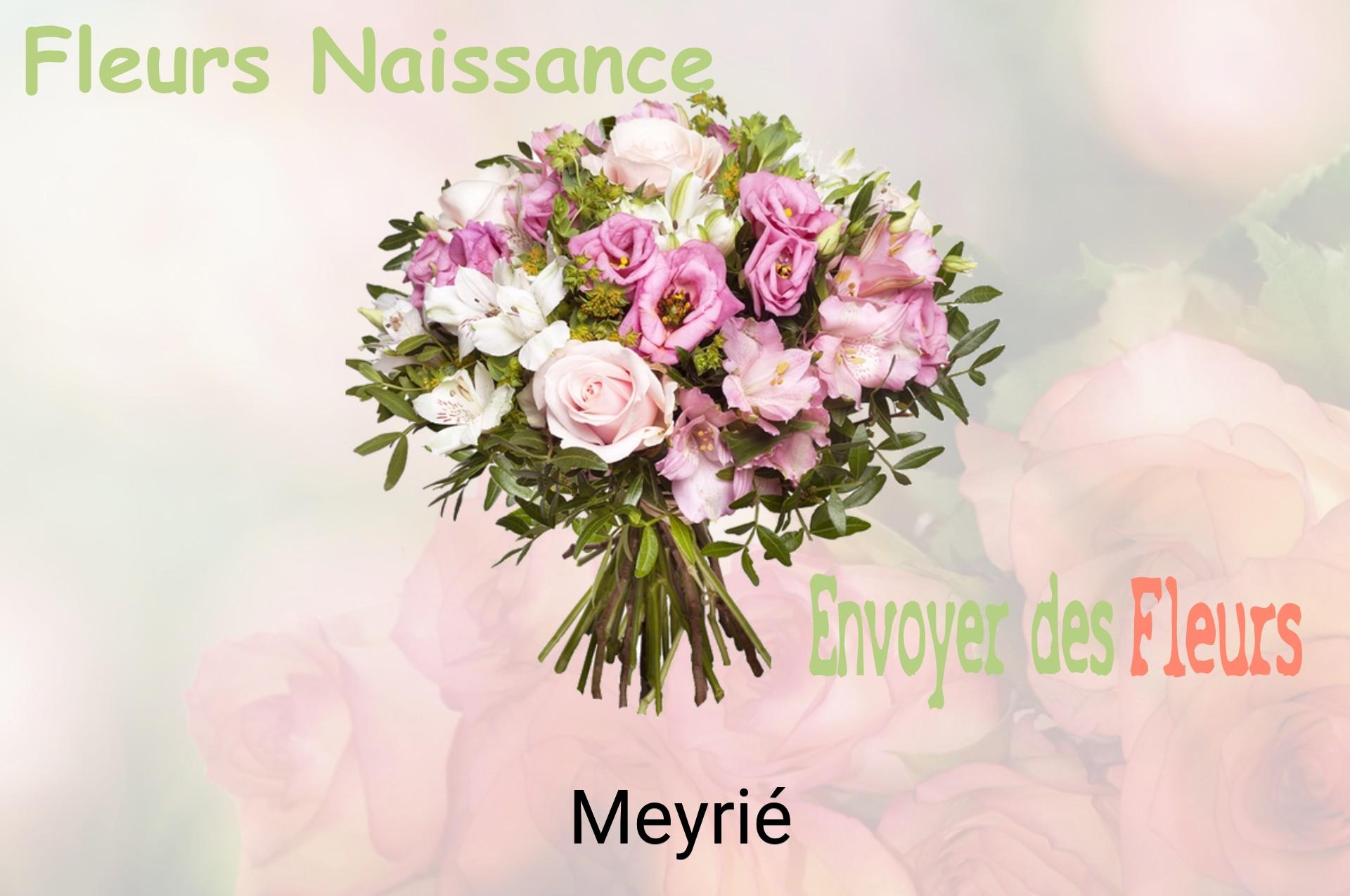 Bouquet de fleurs de naissance livré à Meyrié