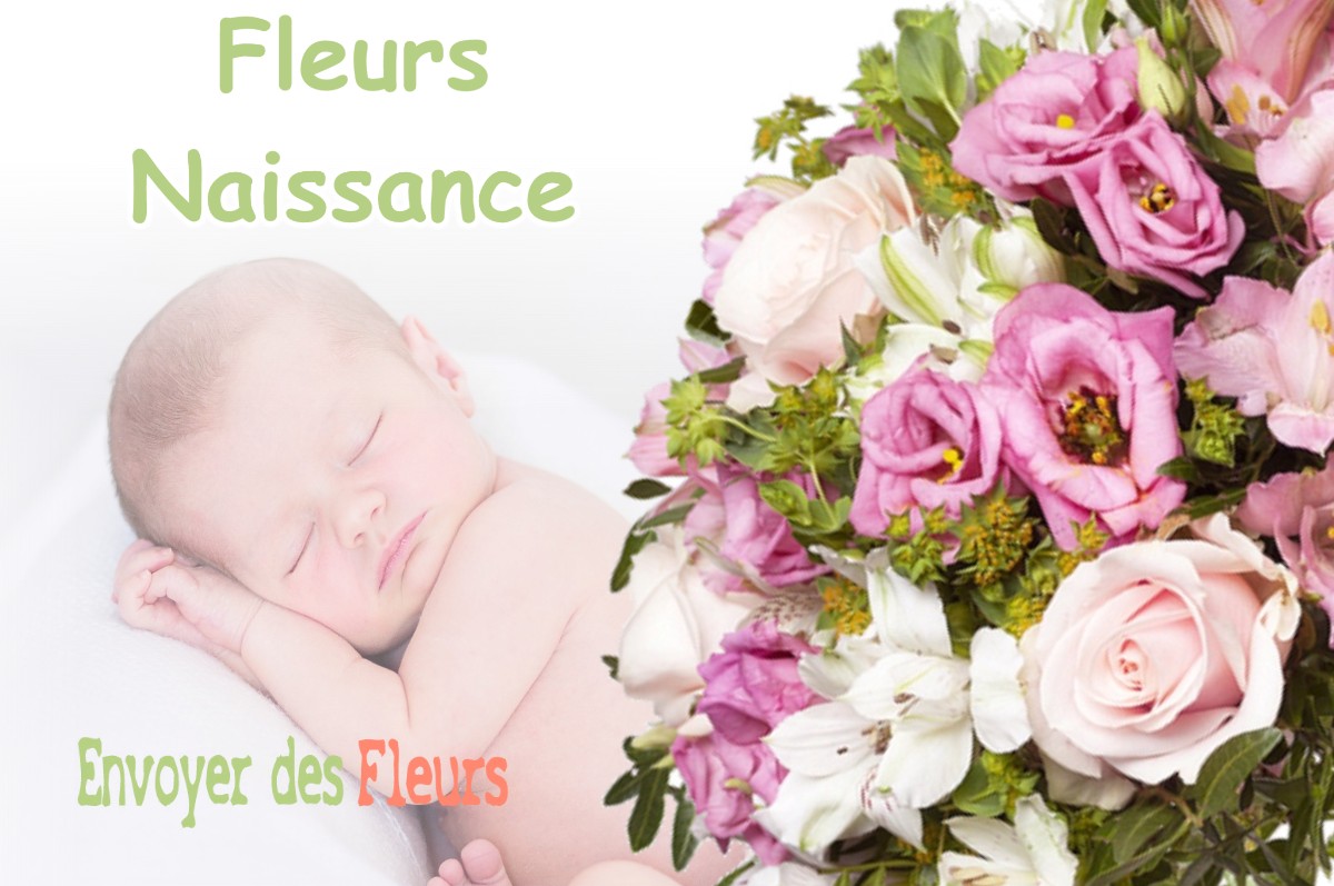 lIVRAISON FLEURS NAISSANCE à MEYRIE